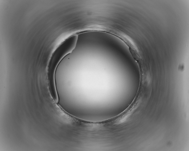 X0000091371192200708101525