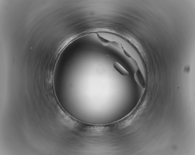 X0000091371193200708101525