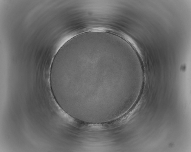 X0000091371194200708101525