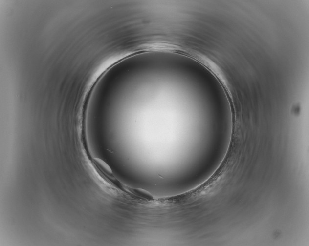 X0000091371195200708101525