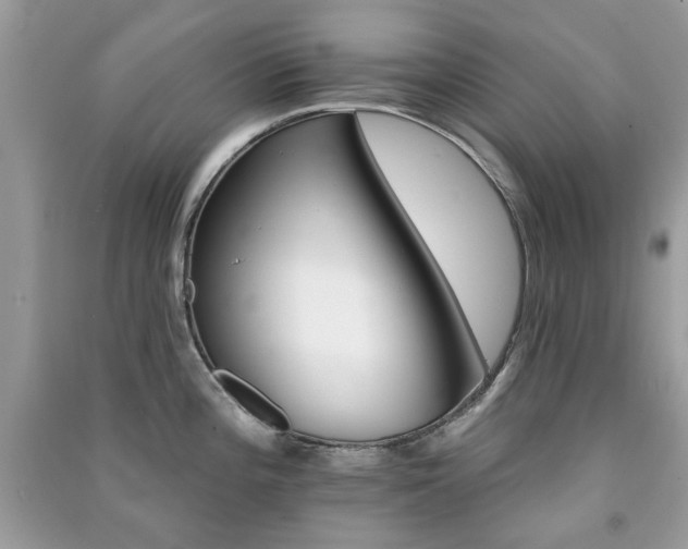 X0000091371196200708101525