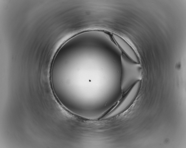 X0000091371197200708101525