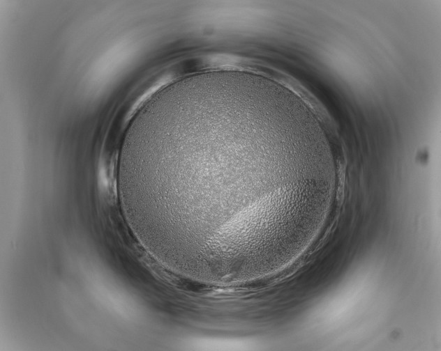 X0000091371198200708101525