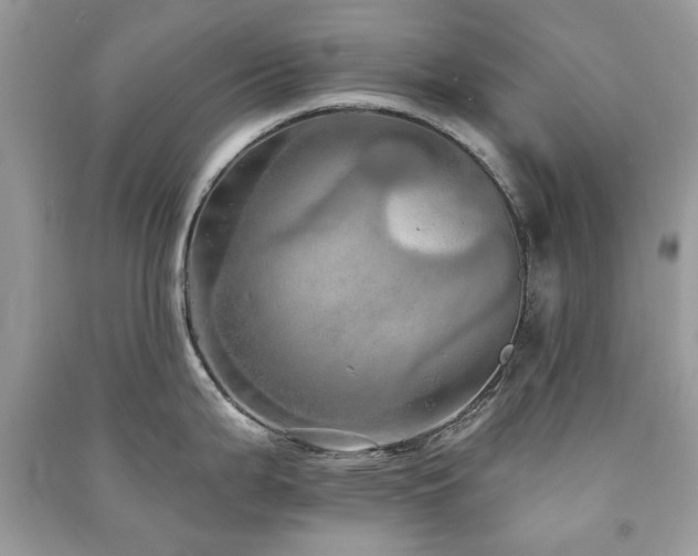 X0000091371199200708101525