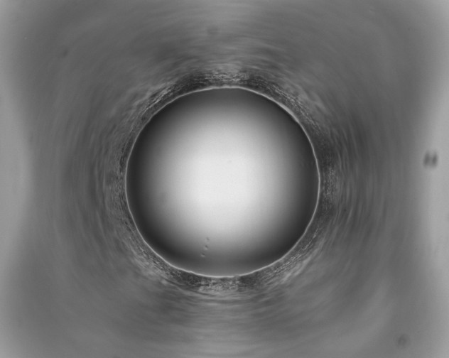 X0000091371201200708101525