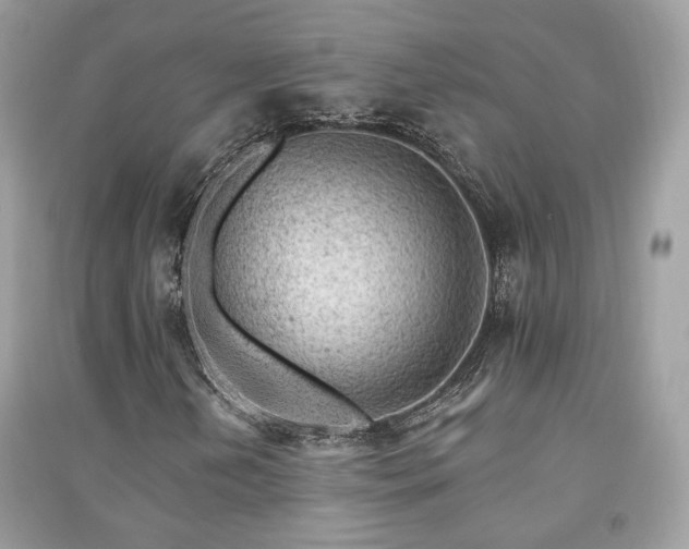 X0000091371202200708101525