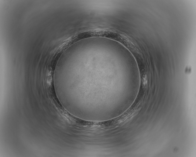 X0000091371204200708101525