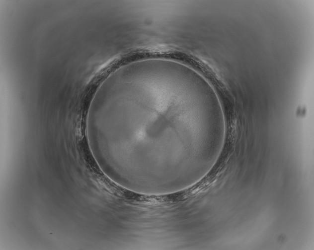 X0000091371205200708101525