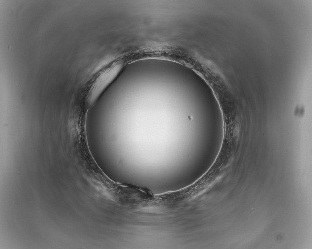 X0000091371206200708101525