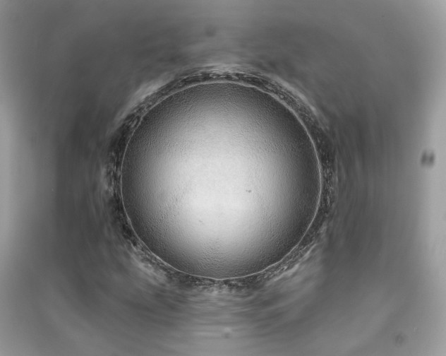 X0000091371207200708101525