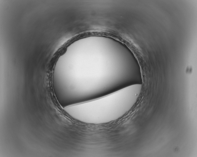 X0000091371208200708101525