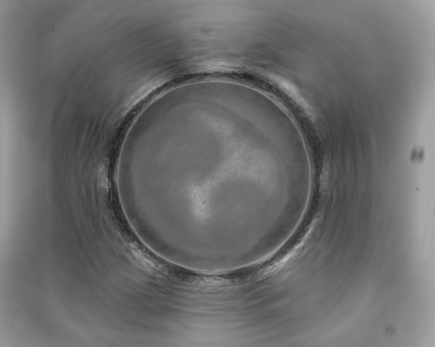 X0000091371209200708101525