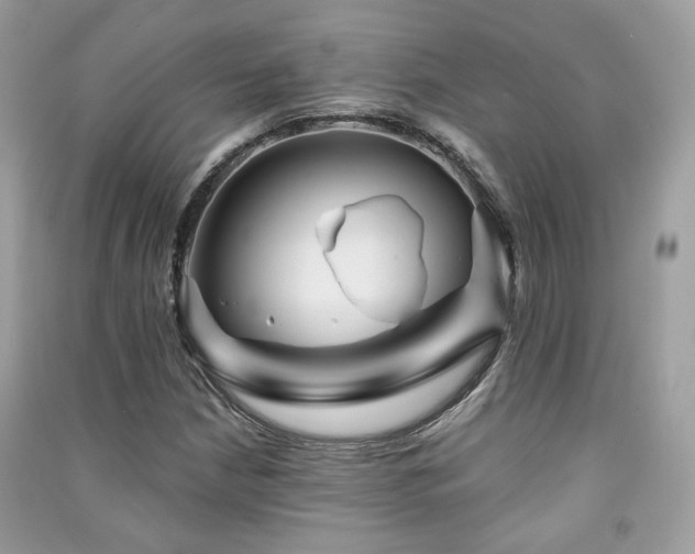 X0000091371210200708101525