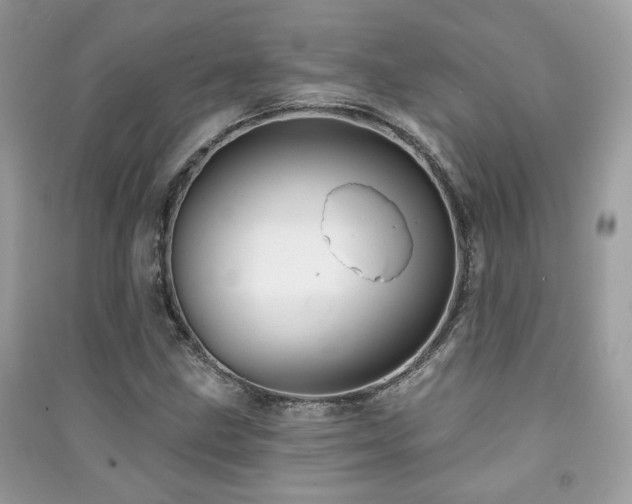 X0000091371211200708101525