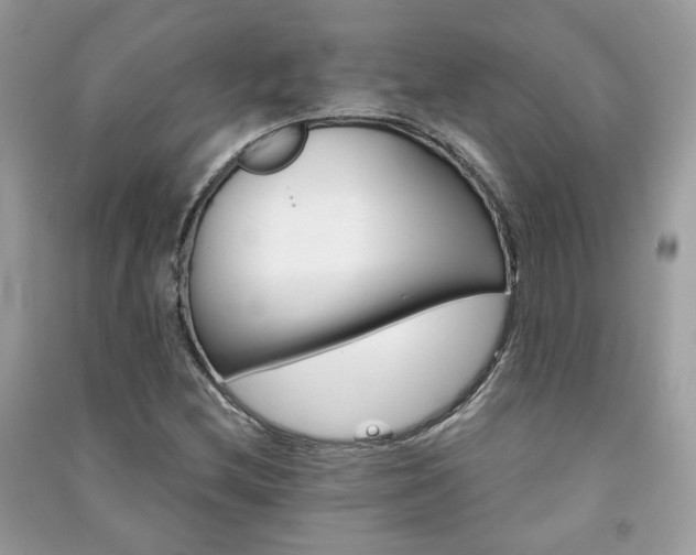 X0000091371212200708101525