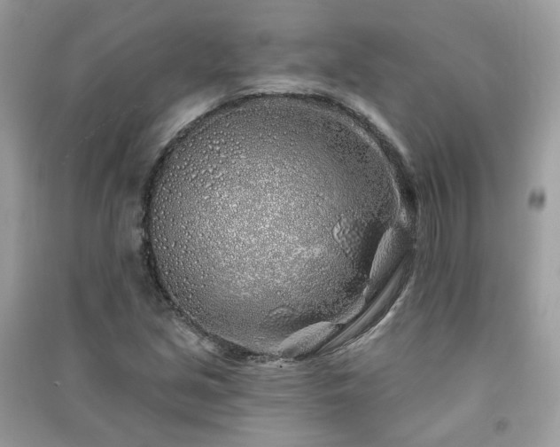 X0000091371213200708101525