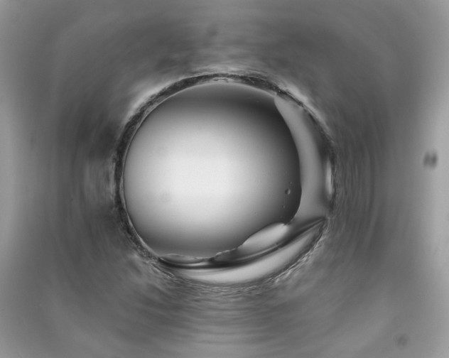 X0000091371214200708101525