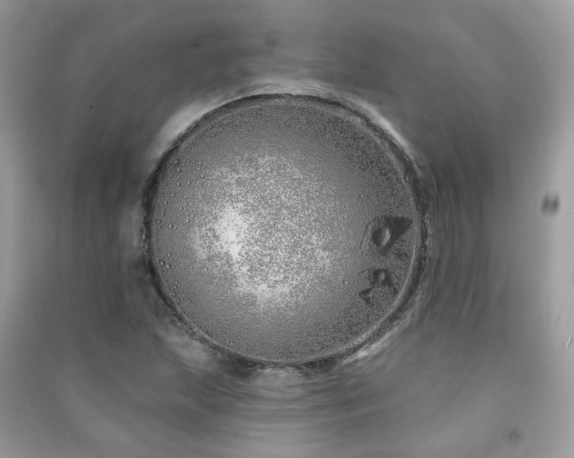 X0000091371215200708101525