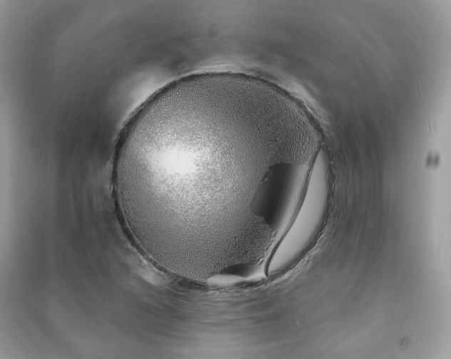 X0000091371216200708101525