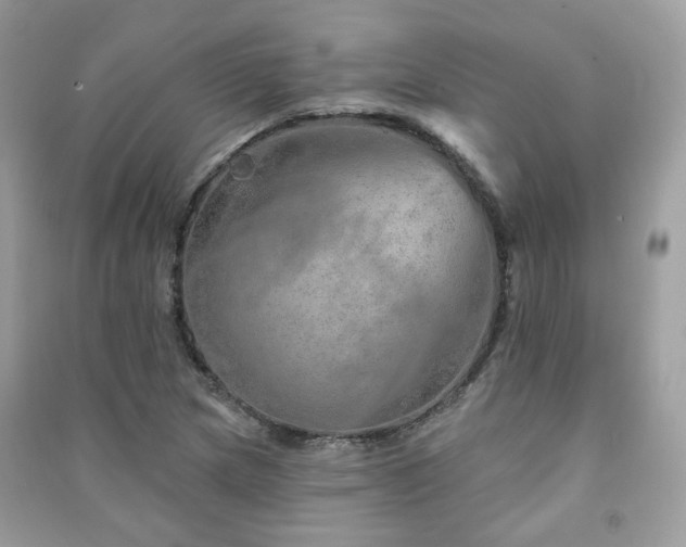 X0000091371217200708101525