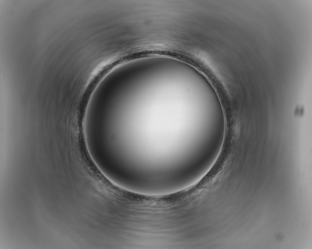 X0000091371218200708101525