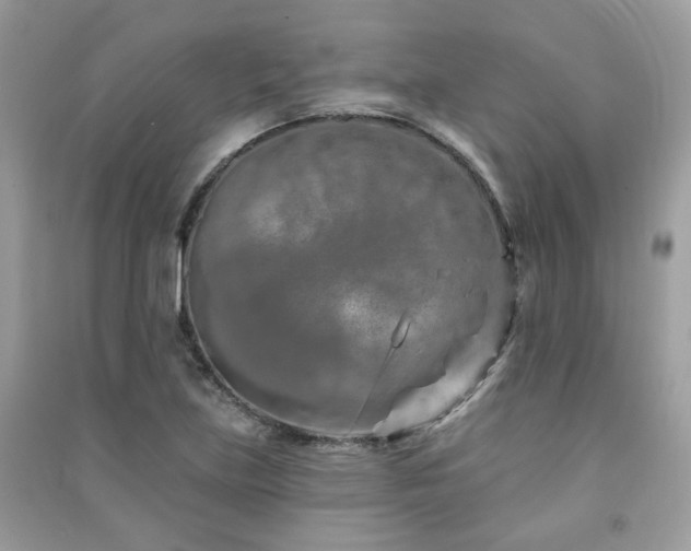 X0000091371219200708101525