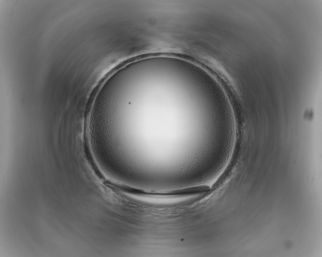 X0000091371220200708101525