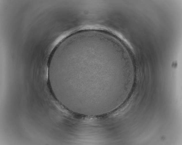 X0000091371221200708101525