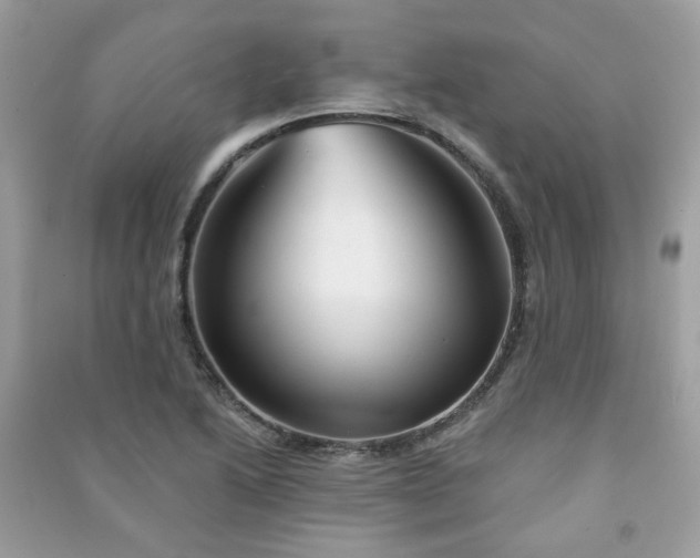 X0000091371222200708101525