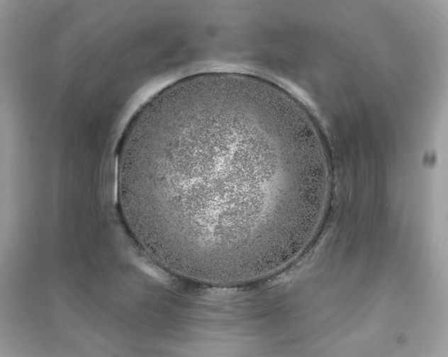 X0000091371223200708101525