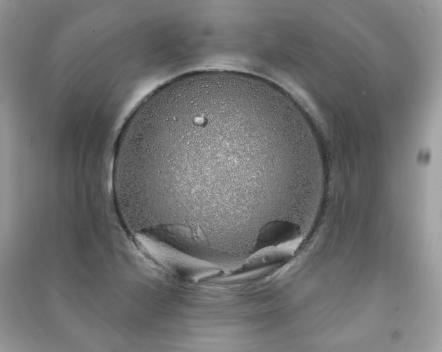 X0000091371224200708101525