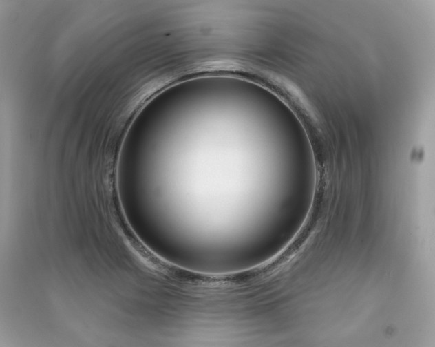 X0000091371225200708101525