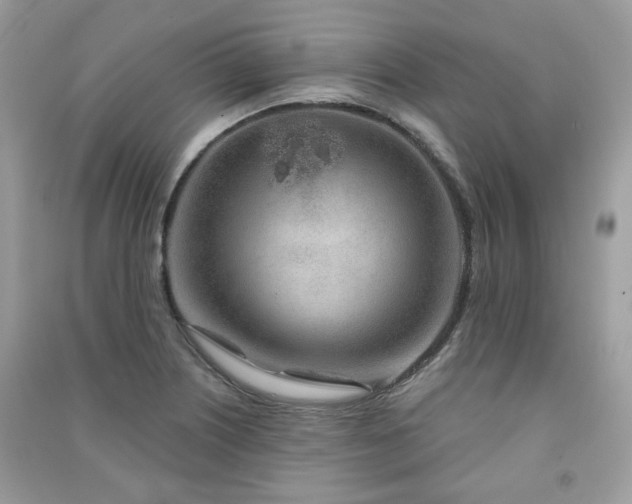 X0000091371226200708101525