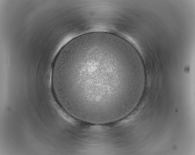 X0000091371227200708101525