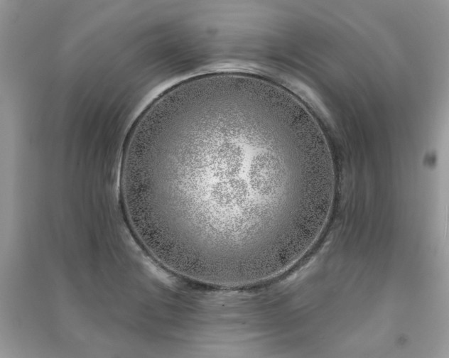 X0000091371228200708101525