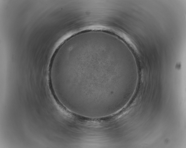 X0000091371229200708101525