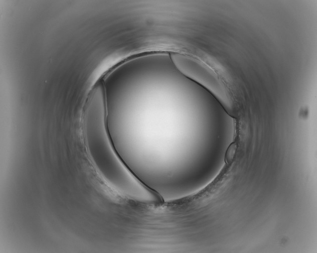 X0000091371230200708101525