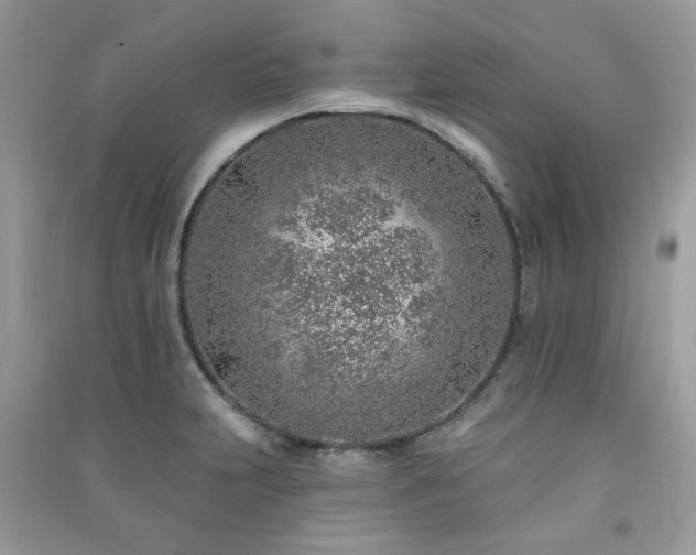 X0000091371231200708101525