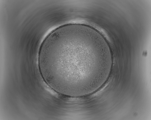 X0000091371232200708101525