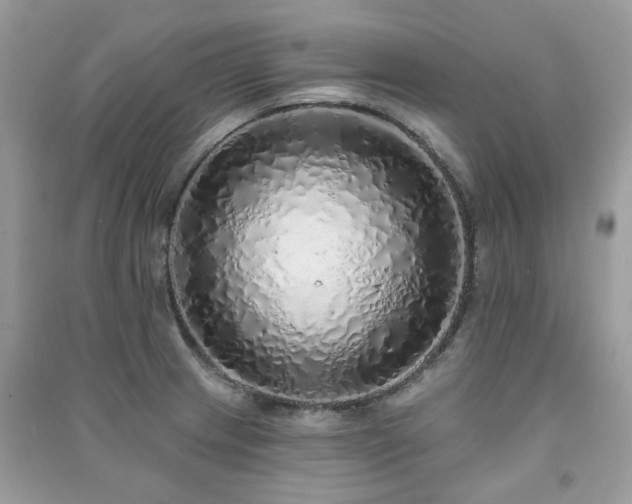 X0000091371233200708101525