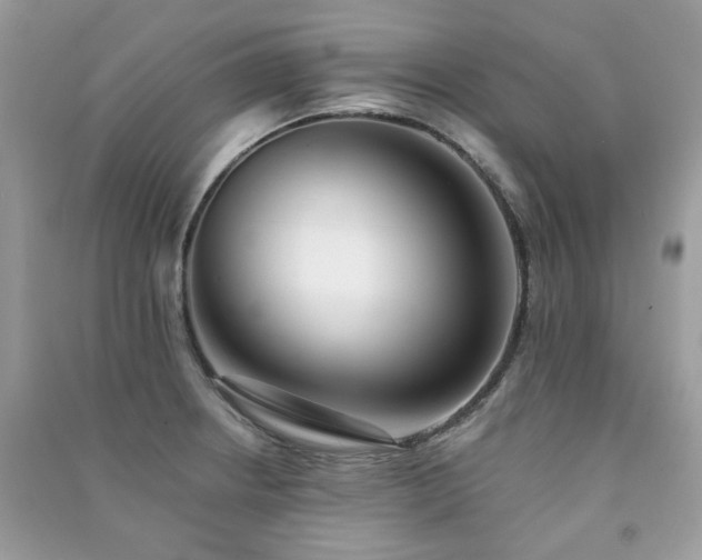 X0000091371234200708101525