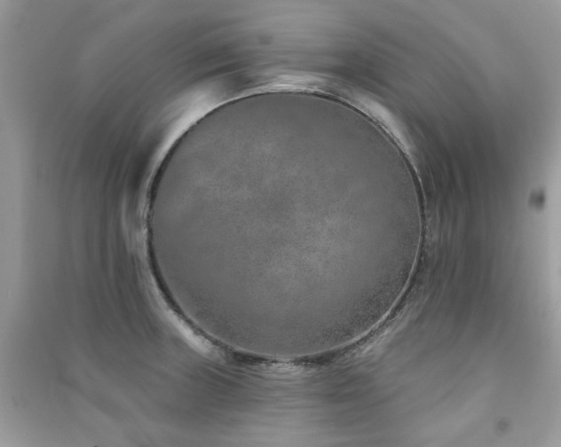 X0000091371235200708101525