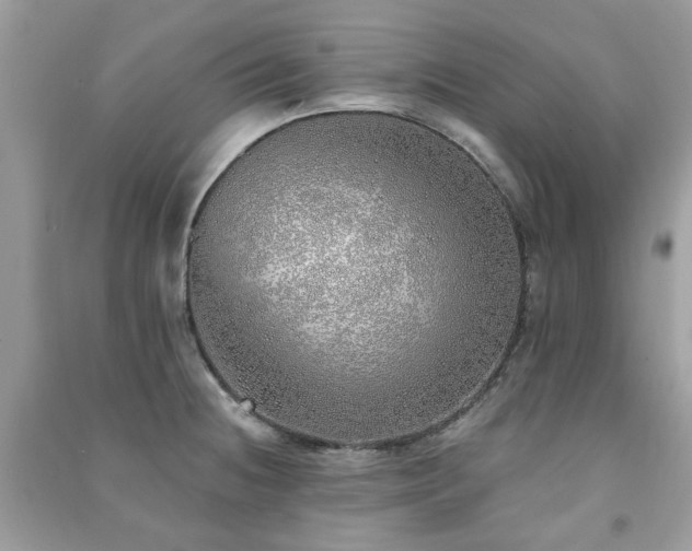 X0000091371236200708101525