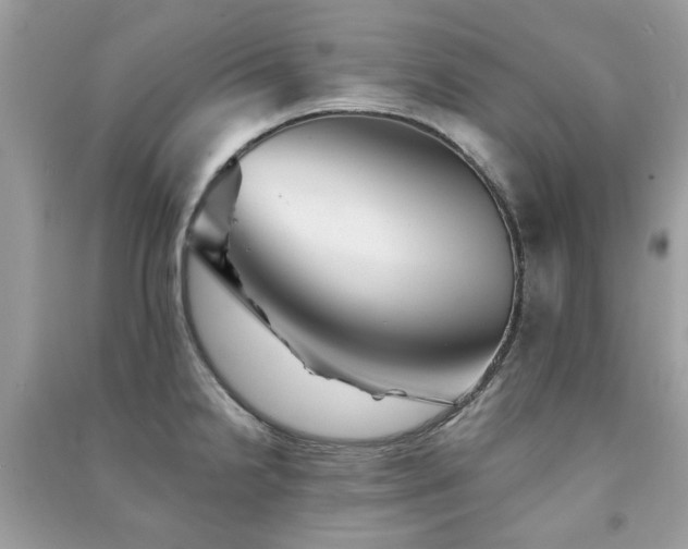 X0000091371238200708101525