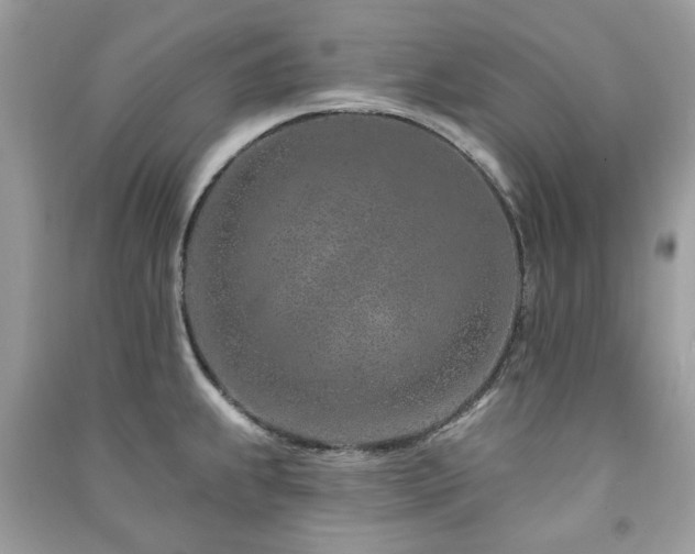 X0000091371239200708101525