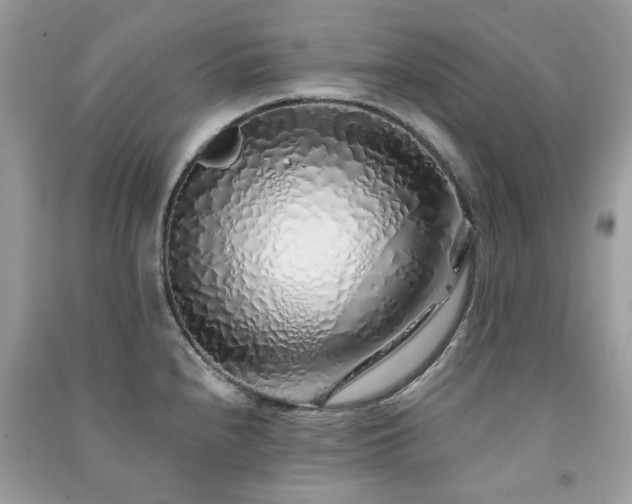 X0000091371240200708101525