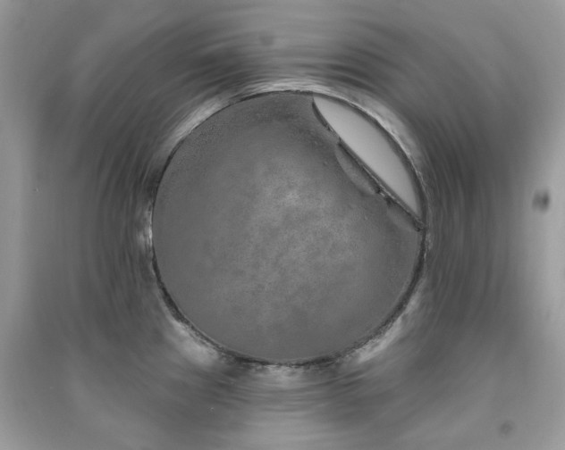 X0000091371241200708101525