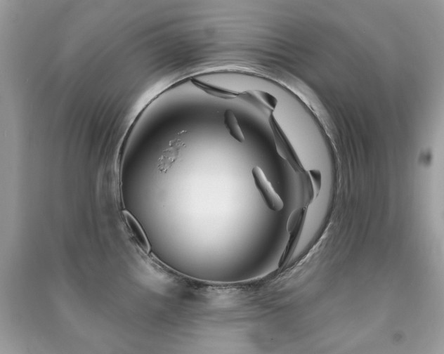 X0000091371242200708101525