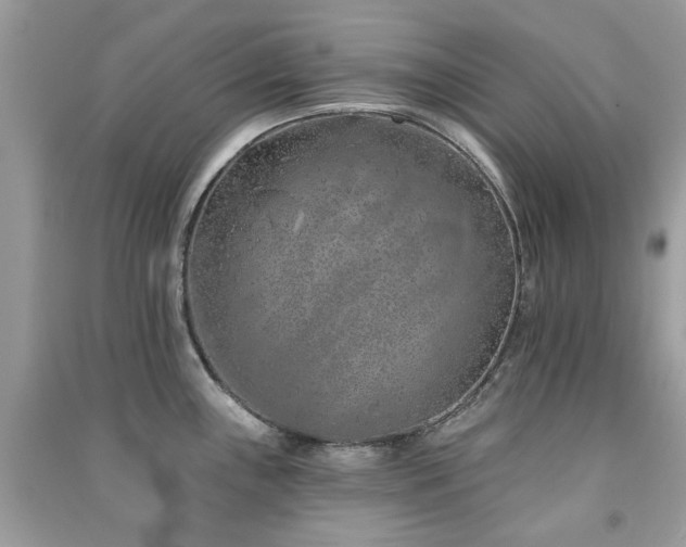 X0000091371243200708101525