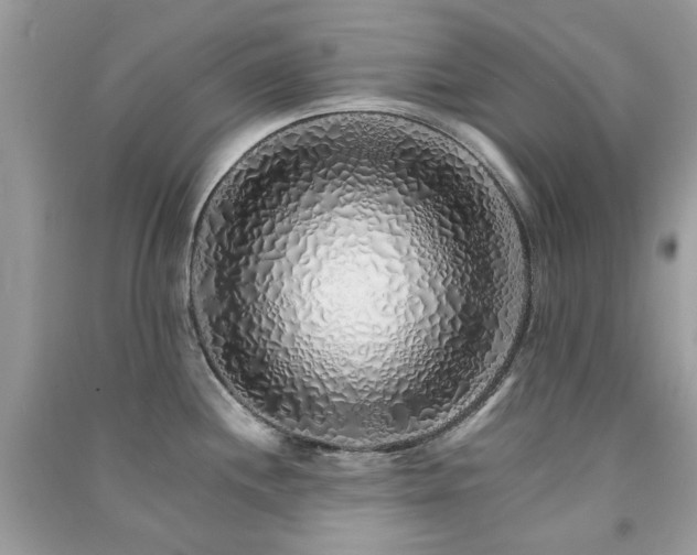 X0000091371244200708101525